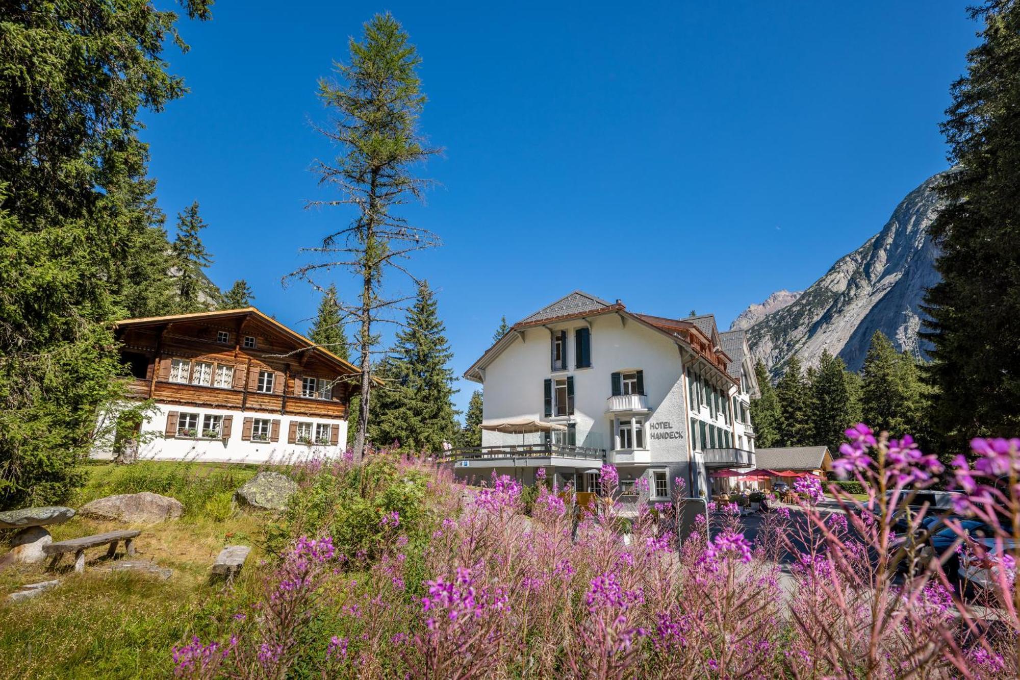 Hotel Und Naturresort Handeck Guttannen Luaran gambar